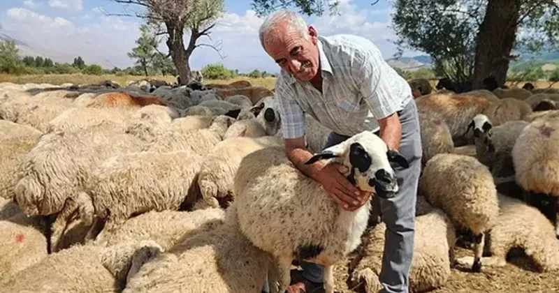 120 bin liraya çalışacak işçi bulamıyorlar! Yeni nesil bu sektöre yanaşmıyor