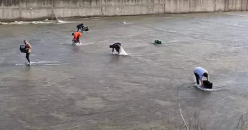 Duyan çuval ve kasayla dereye koştu: Balıkları toplamak için yarıştılar Sözcü Gazetesi