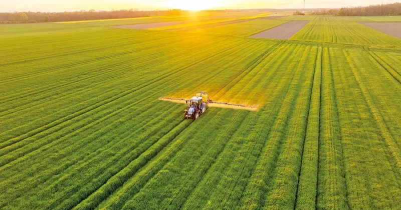 Çiftçinin zor seçimi