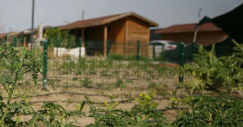 Tarım arazisine villa yapan yandı! Hem hapis hem 3 kat para cezası geliyor Sözcü Gazetesi