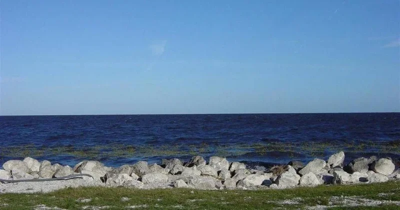 Dünyanın en tehlikeli suyu: 30 bin yaratık yaşıyor Sözcü Gazetesi