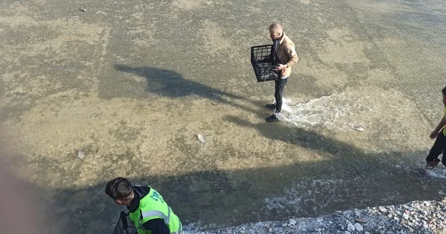 Akıntıya kapılan balıkları yakalamak için birbirleriyle yarıştılar Afyonkarahisar Haberleri