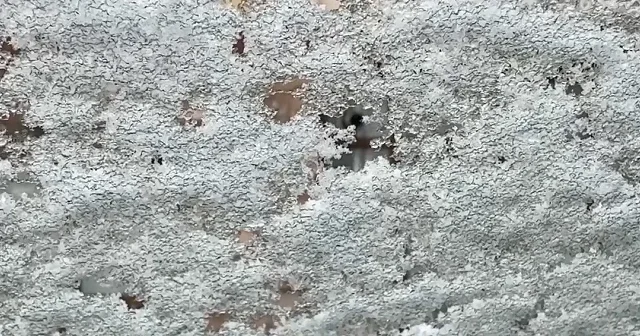 Erzurum da baharda kar yağışı etkili oldu VİDEO İZLE