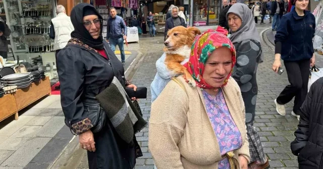 Trabzon sokaklarının en sıra dışı gezintisi VİDEO İZLE