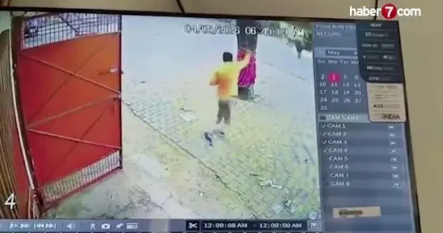 Hindistan da ineğe saldıran adam boynuz darbesiyle yere serildi