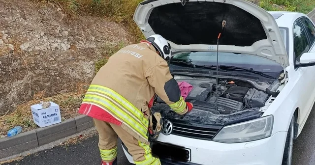 Arsuz da otomobilin motoruna giren kediler kurtarıldı Hatay Haberleri