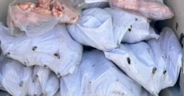Tekirdağ da 1,5 ton iç yağ ve 140 kokoreç imha edildi Tekirdağ Haberleri