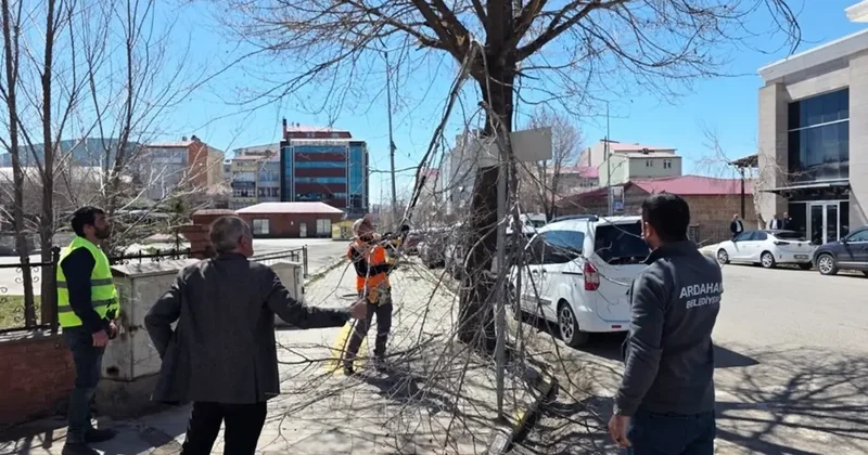 Belediye ekiplerinden ağaç budama çalışması