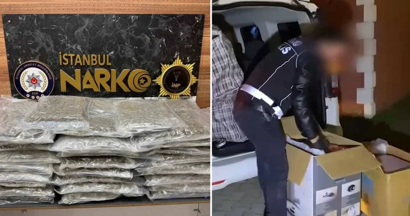 İstanbul’da uyuşturucu operasyonu: 58 kilo gram skunk ele geçirildi İstanbul Haberleri