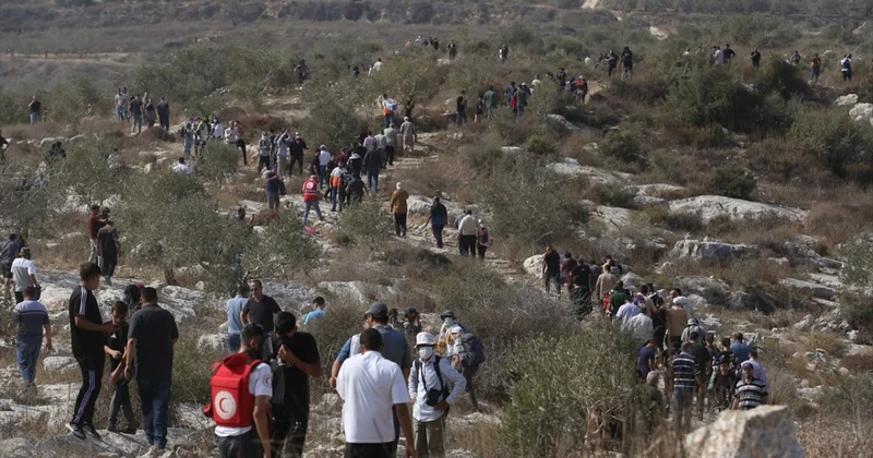 İşgalci İsrail Maliye Bakanı: Batı Şeria da Filistinlilere ait 3 bin ağacı söktük