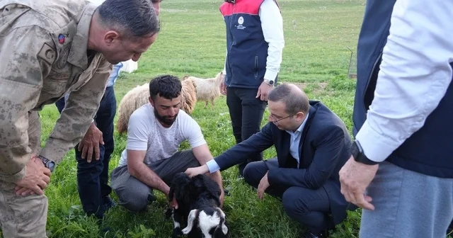 Kaymakam Baycar, göçer üreticilerin sorunlarını yerinde dinledi Şırnak Haberleri