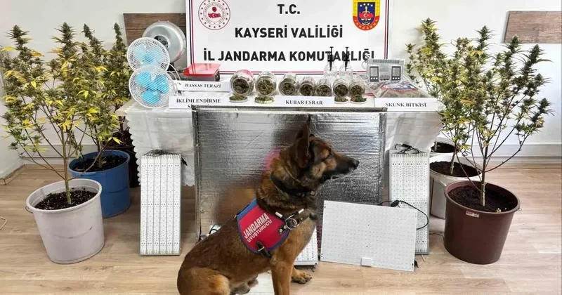 Kayseri’de uyuşturucu operasyonu