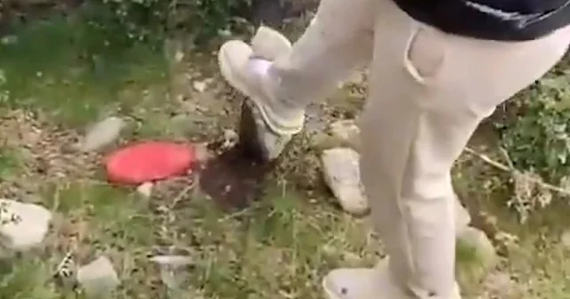 Kübra Yapıcı cinayetinde kullanılan silahın yerini tutuklu şüpheli İlyas Umut Dalğar gösterdi VİDEO İZLE