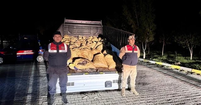 Van da kaçak avlanan 800 kilo balık ele geçirildi Van Haberleri