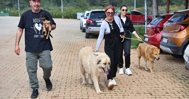 Büyükşehir Bakımevi nde can dostlar sıcak yuvalarına kavuşuyor Antalya Haberleri
