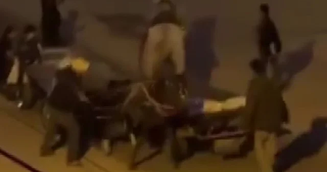 Atlara işkence kamerada Adana Haberleri