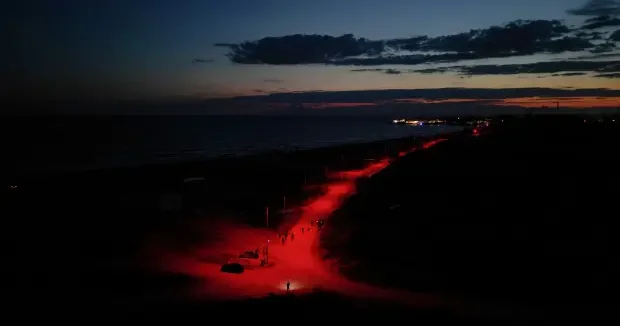 Antalya haberleri Antalya da deniz kaplumbağaları için özel hizmet! Kırmızı yol dikkat çekti 07 Mayıs 2026