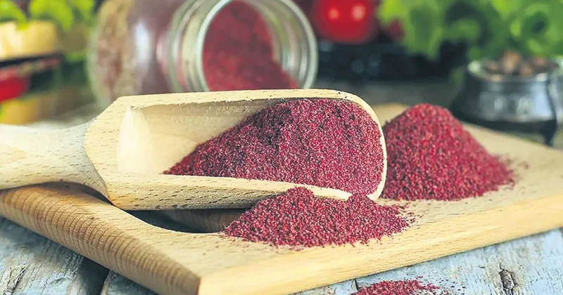 İDİL AÇIKALIN Tabaklarda sumak etkisi