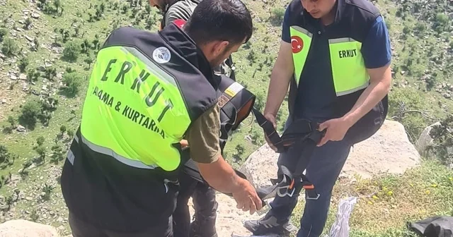 Siirt te mahsur kalan keçi için seferber oldular: ERKUT ekipleri 8 günlük esareti bitirdi Siirt Haberleri