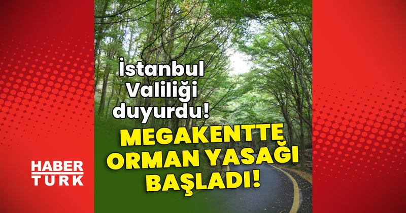 İstanbul Valiliği duyurdu! Megakentte orman yasağı başladı! Son dakika haberi Son dakika haberleri