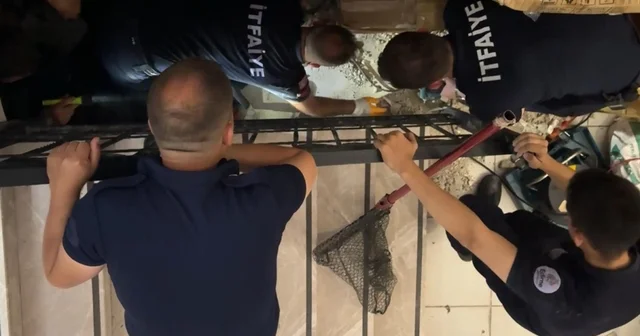 Merdiven boşluğuna sıkışan kedi merdiven ve fayans kırılarak kurtarıldı Edirne Haberleri
