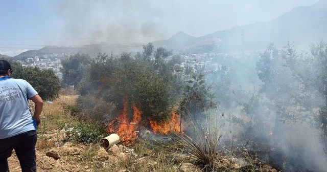 Bodrum da maki yangınında 1 dekar alan zarar gördü Muğla Haberleri
