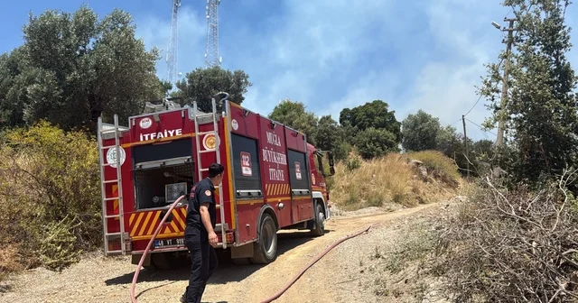 Bodrum da çıkan yangın büyümeden söndürüldü Muğla Haberleri