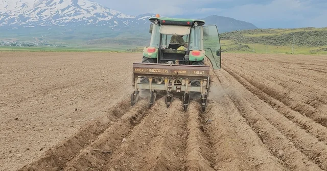 Adilcevaz da fasulye ekimi başladı Bitlis Haberleri