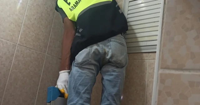 Siirt te lavabo borusuna sıkışan yavru kedi kurtarıldı Siirt Haberleri