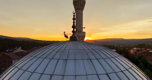 Leylekler gün batımını cami kubbesinde karşıladı, mest eden anlar havadan görüntülendi Kastamonu Haberleri
