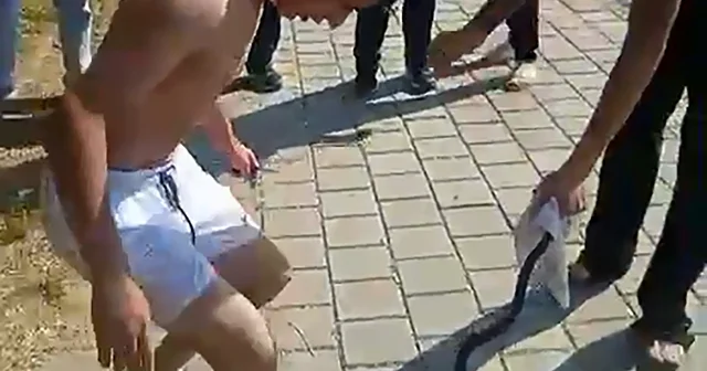 Nehirden çıkardıkları yılanın başını ezip, çakıyla keserek öldürdüler Adana Haberleri
