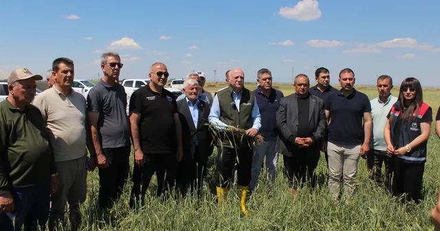TZOB Genel Başkanı Bayraktar: Buğday rekoltesinin 23 milyon tona yaklaşmasını bekliyoruz Aksaray Haberleri