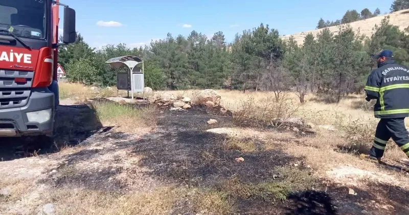 Şanlıurfa da ormanlık alandaki yangın söndürüldü