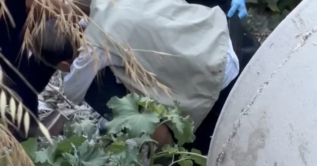 20 metrelik uçurumdan düştü, yaralıyı sırtında taşıyan itfaiyeci yürekleri ısıttı Sedyenin ulaşamadığı yerde kahraman itfaiyeci devreye girdi Bursa Haberleri Habertürk Yerel Haberler