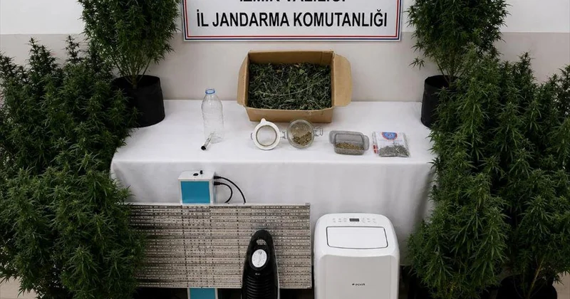 İzmir de hükümlünün yatak odasında uyuşturucu serası bulundu