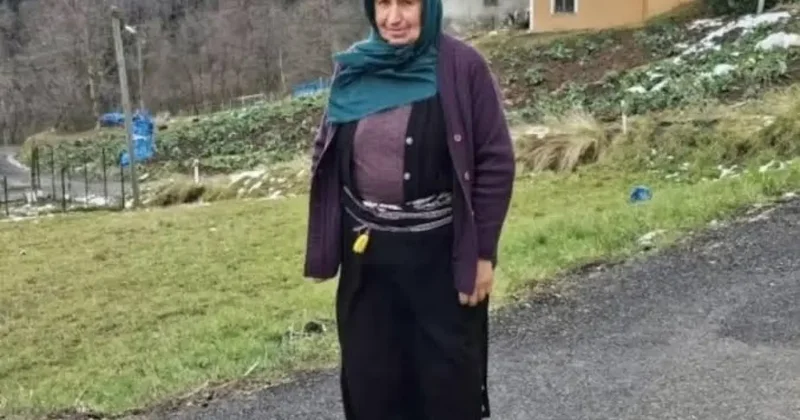 Yengesini ot biçme kavgası yüzünden öldürüp, yeğeni ve oğlunu ağır yaraladı