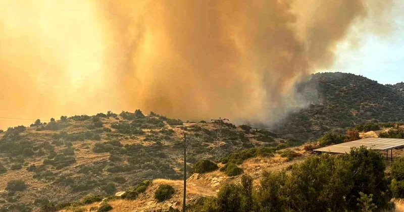 Bozdoğan da Zirai Yangın: 20 Ev Tahliye Ediliyor