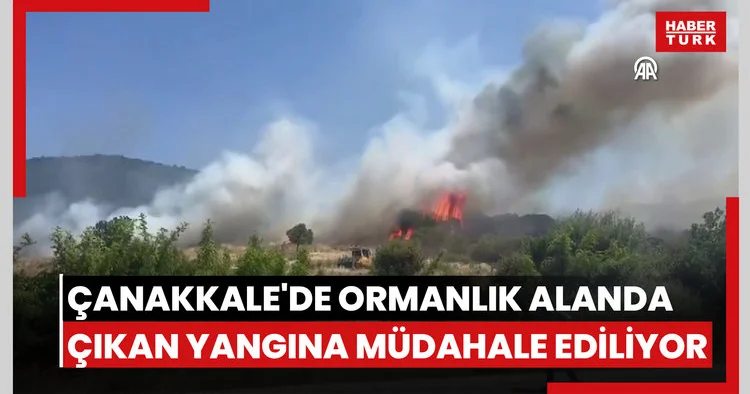 Çanakkalede ormanlık alanda çıkan yangına müdahale ediliyor
