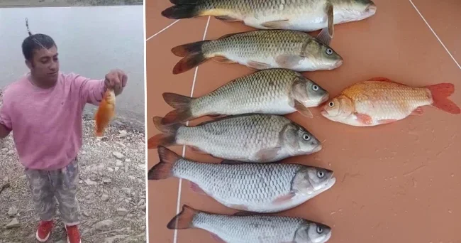 Oltasına takılan balığı görünce büyük heyecan yaşadı: Nadir görülen bir tür, eve götürdüm