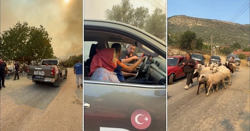 Aydın da zeytinlik ve otluk alanda yangın; iki mahalle tahliye edildi Sözcü Gazetesi