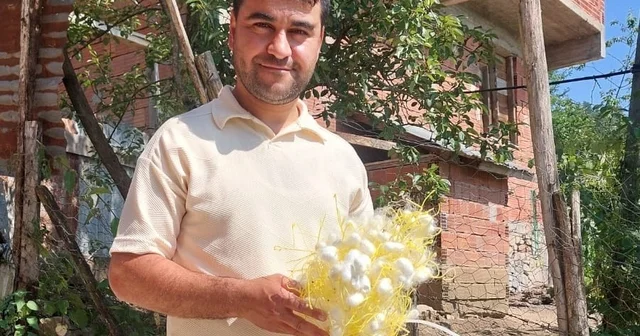 İpek böceği üreticisinden alternatif gelir çağrısı: 1 dönüm araziden 130 bin lira gelir Ordu Haberleri Habertürk Yerel Haberler