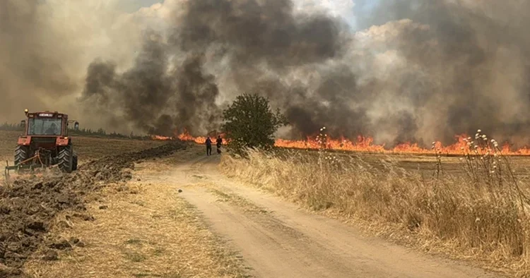 Elektrik teline kuş kondu, 1500 dekar arazi zarar gördü
