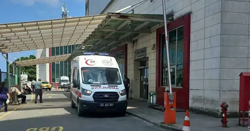 Ordu da ırmağa giren mevsimlik işçi iki kardeşten Ersin öldü, diğerinin durumu ağır