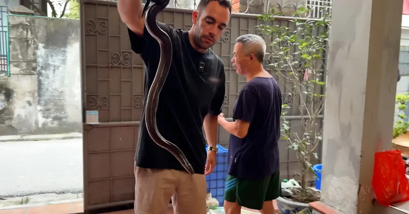 Kuralsız Sokaklar da yılanlı macera