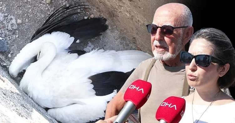 İstanbul da korkunç görüntü! 52 si öldü, 5 i yaralandı Bu facia devam edecek