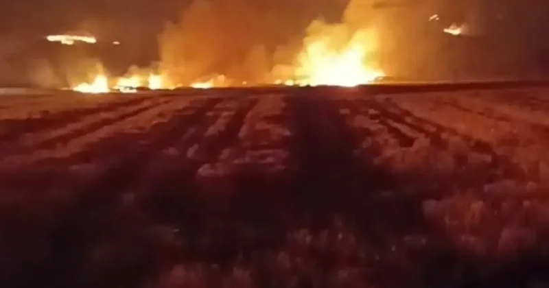 Yozgat’ta bin 500 dönüm arazi yandı
