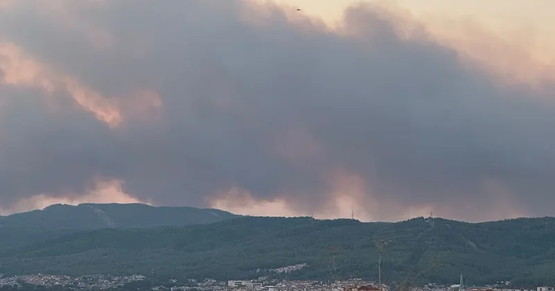 Muğla da korkutan orman yangını! Ekipler sevk edildi