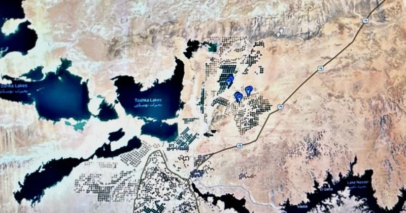 Leylek Atlas 2 bin kilometrelik göç yolculuğunda Mısır a ulaştı