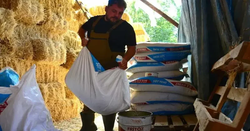 Çorum da genç adam bu iş için memurluğu bıraktı