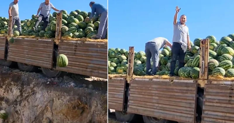Görenlerin içi acıdı! Tonlarcası çöplüğe boşalttılar